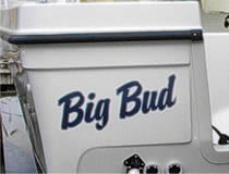 Big Bud